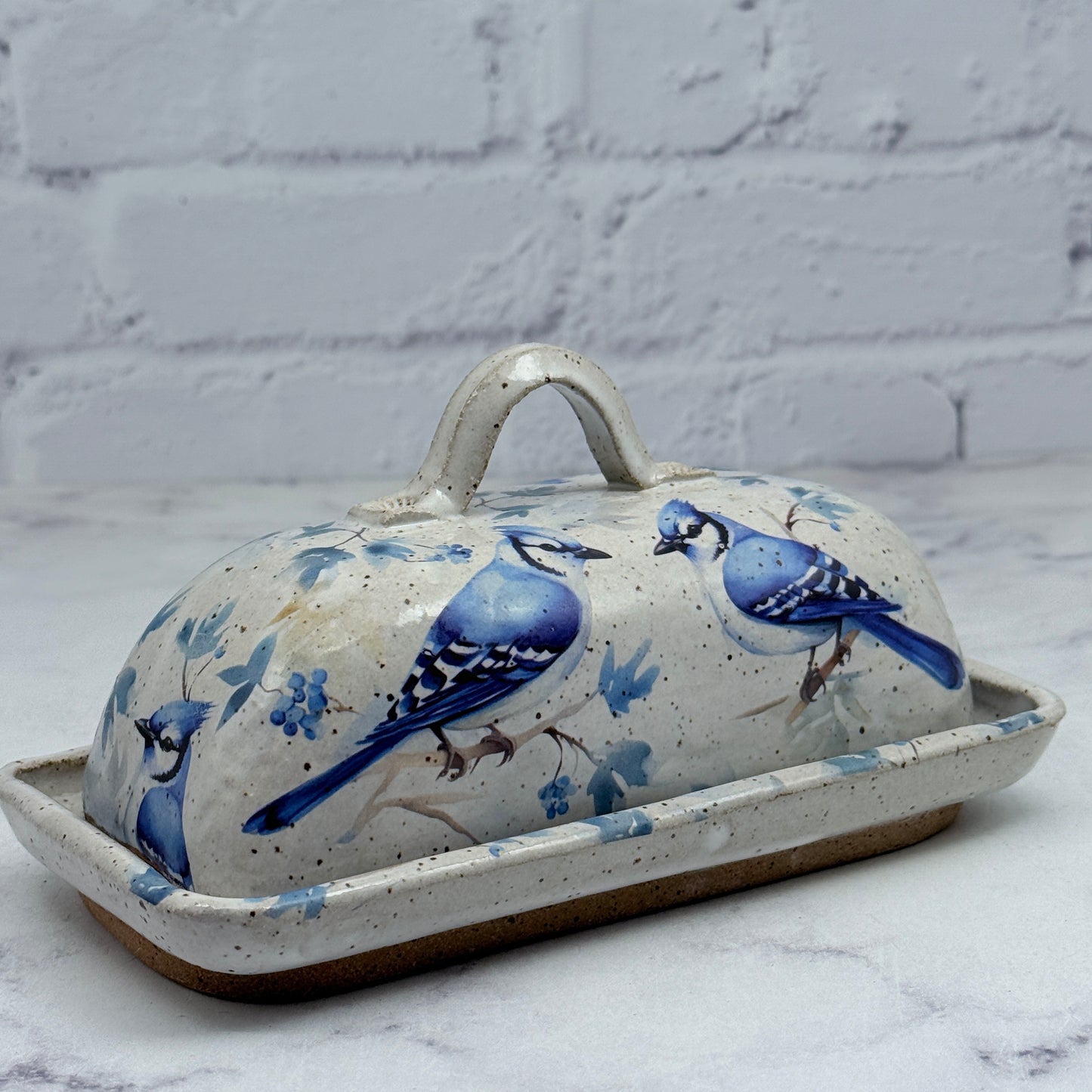 Bluejays Butter Dish