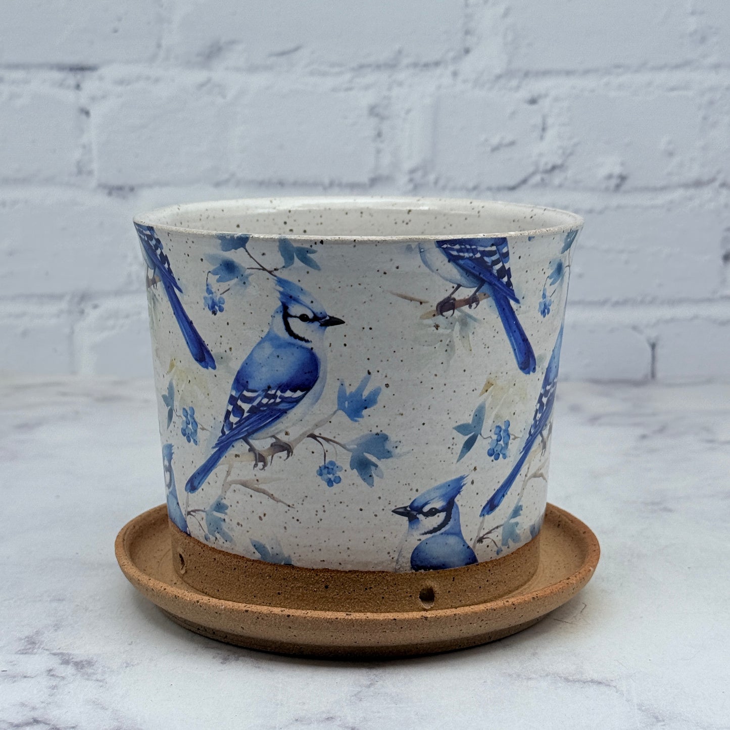 Bluejays Planter