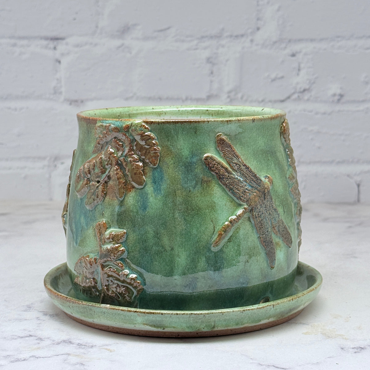 3-D Dragonflies & Ferns Planter