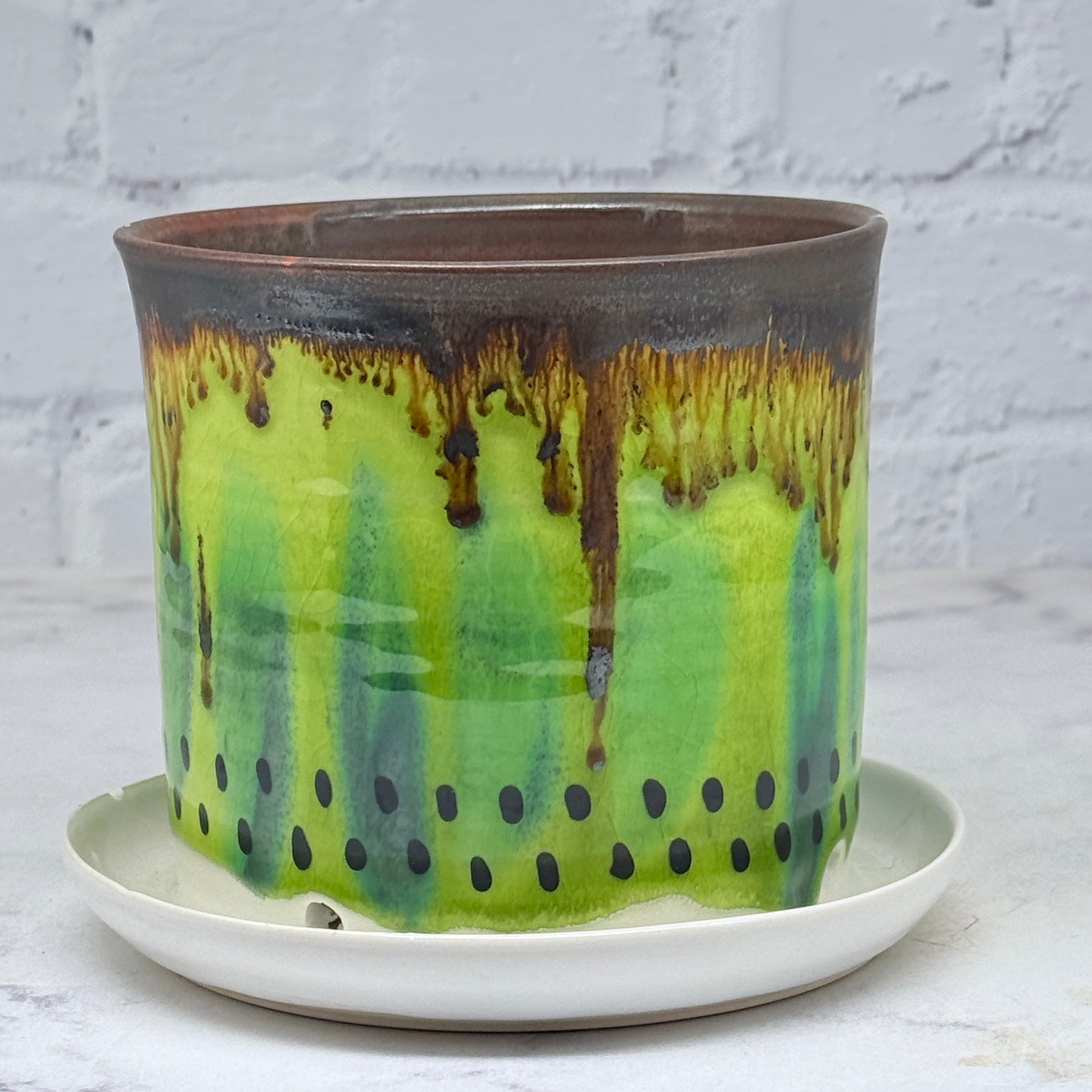 Kiwi Planter 2