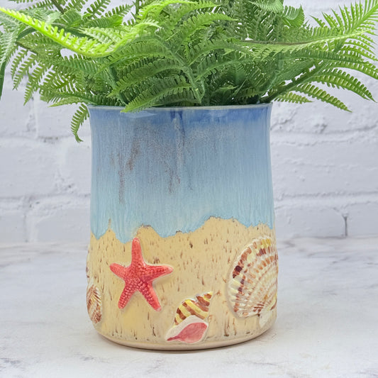 3-D Seashells Cylinder 1