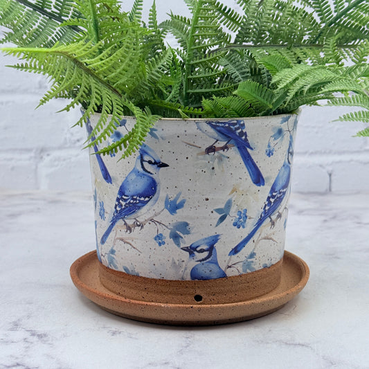 Bluejays Planter