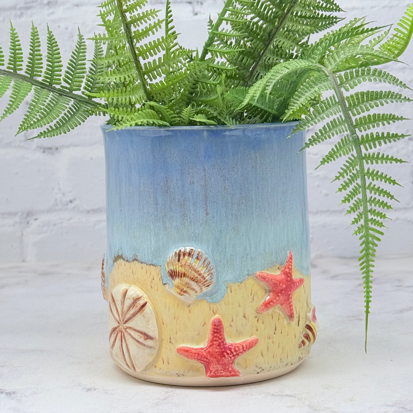 3-D Seashells Cylinder 2