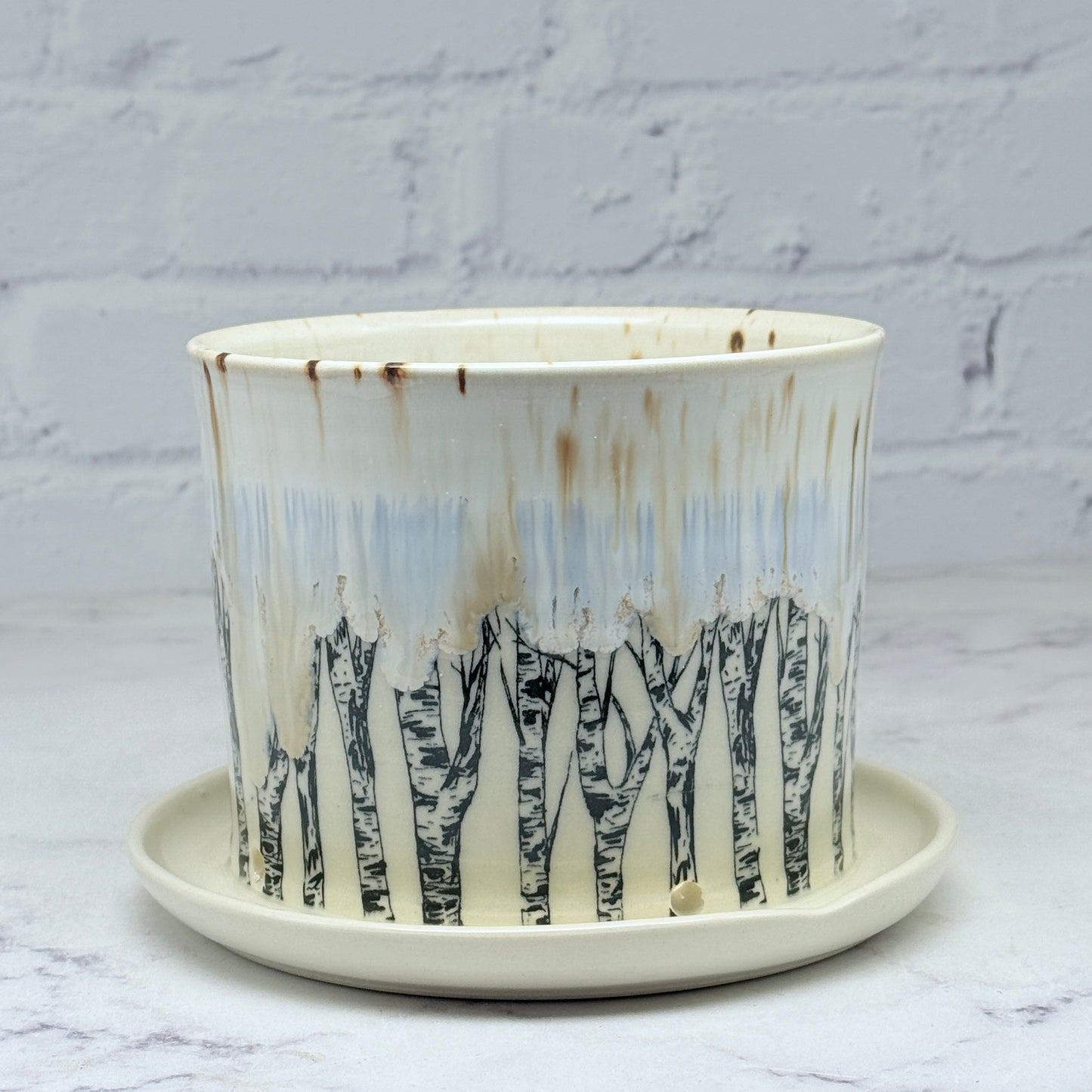 Cream with Birch Planter