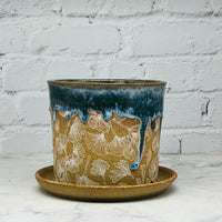 Teal with Gingko Planter