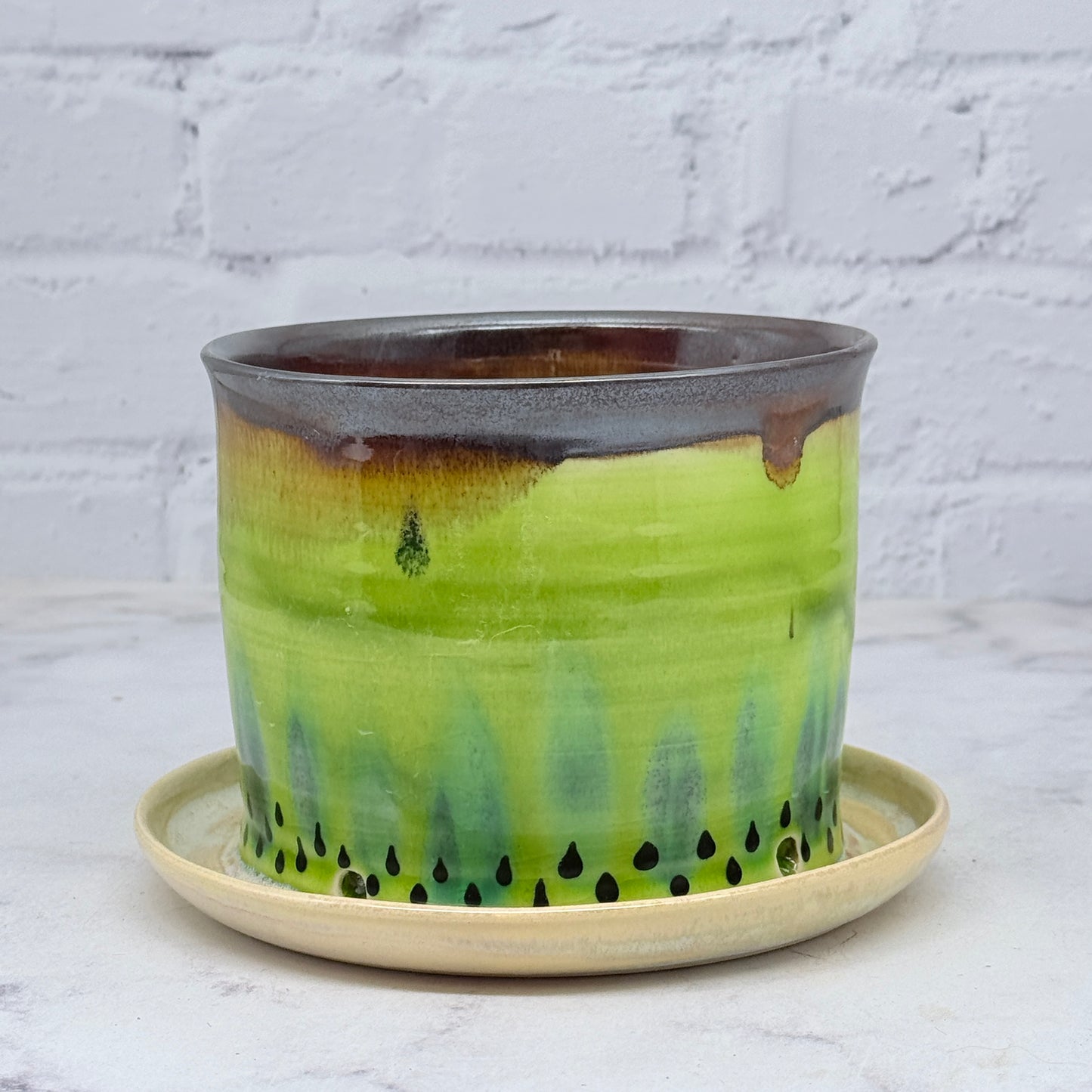 Kiwi Planter