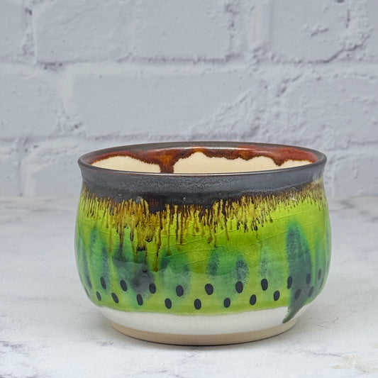 Small Kiwi Bowl 4