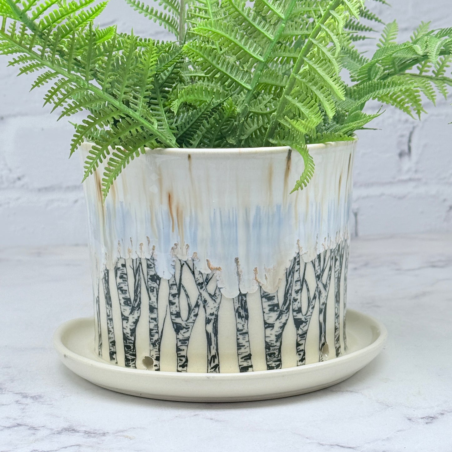 Cream with Birch Planter