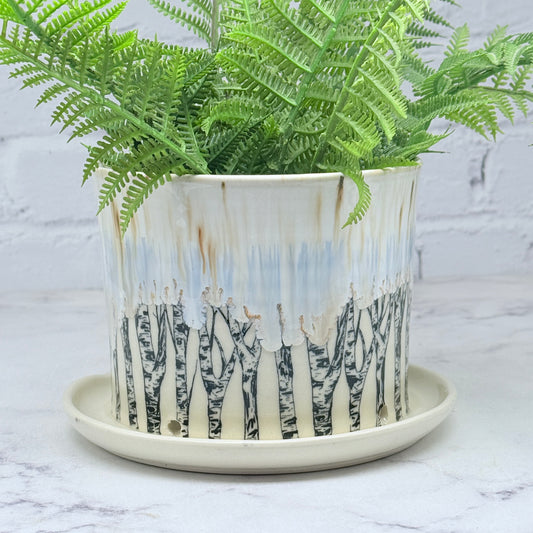 Cream with Birch Planter