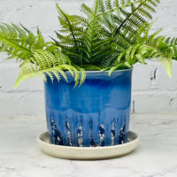 Blue with Floral Design Planter