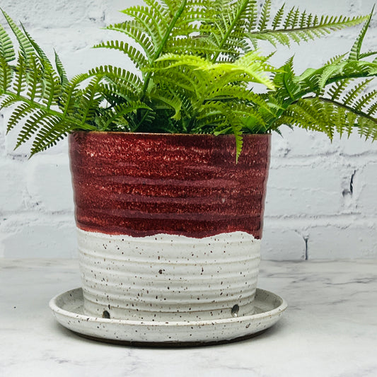 Red & White Planter