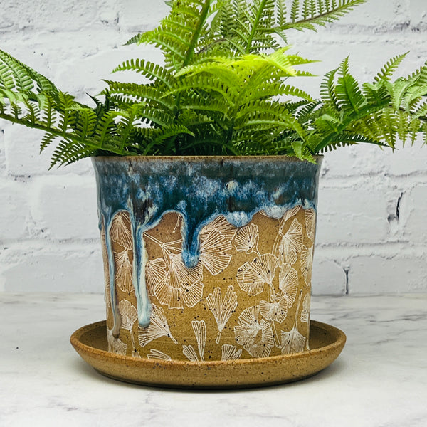 Teal with Gingko Planter