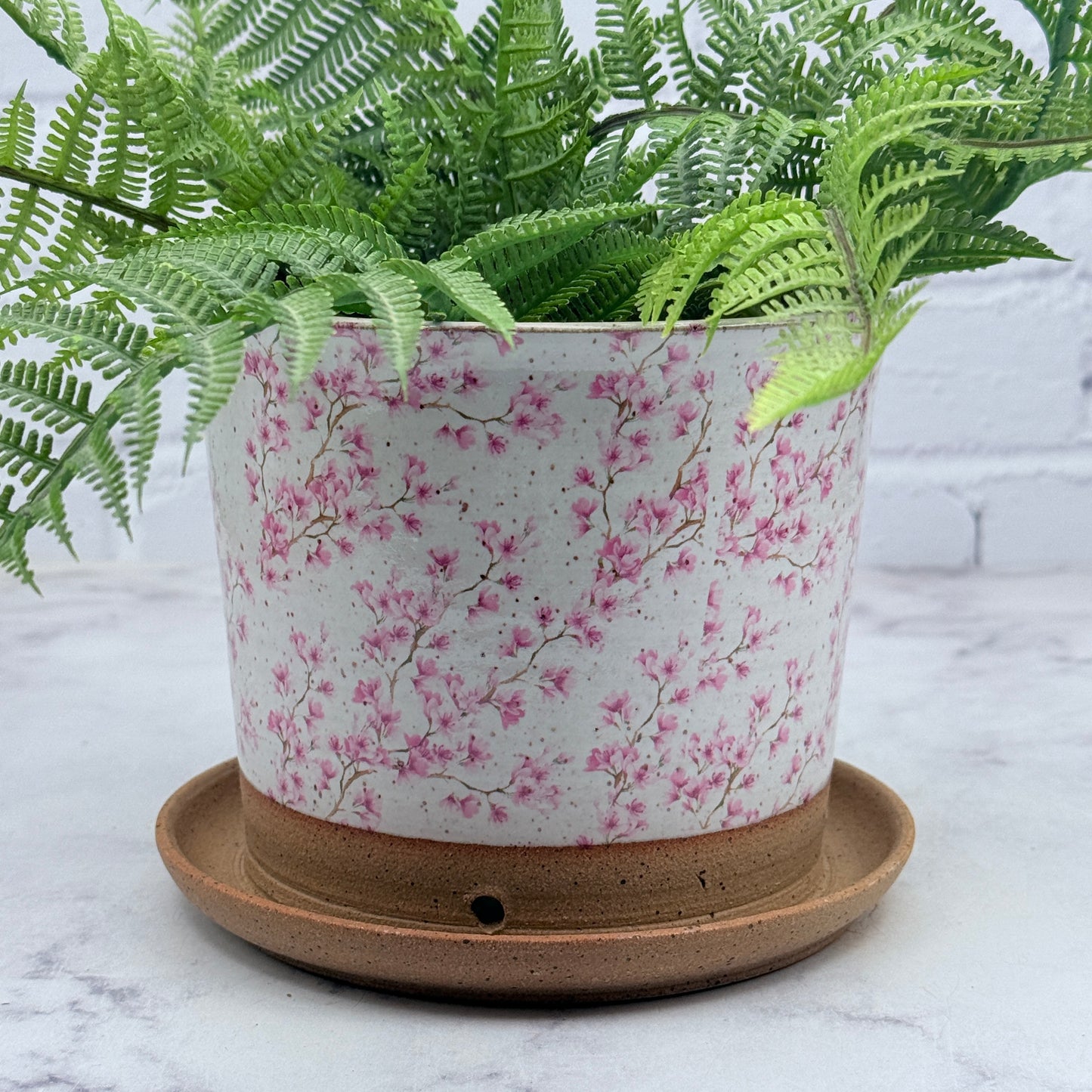 Cherry Blossoms Planter