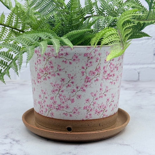 Cherry Blossoms Planter