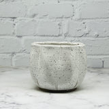 Speckled White Pumpkin Small Bowl 2