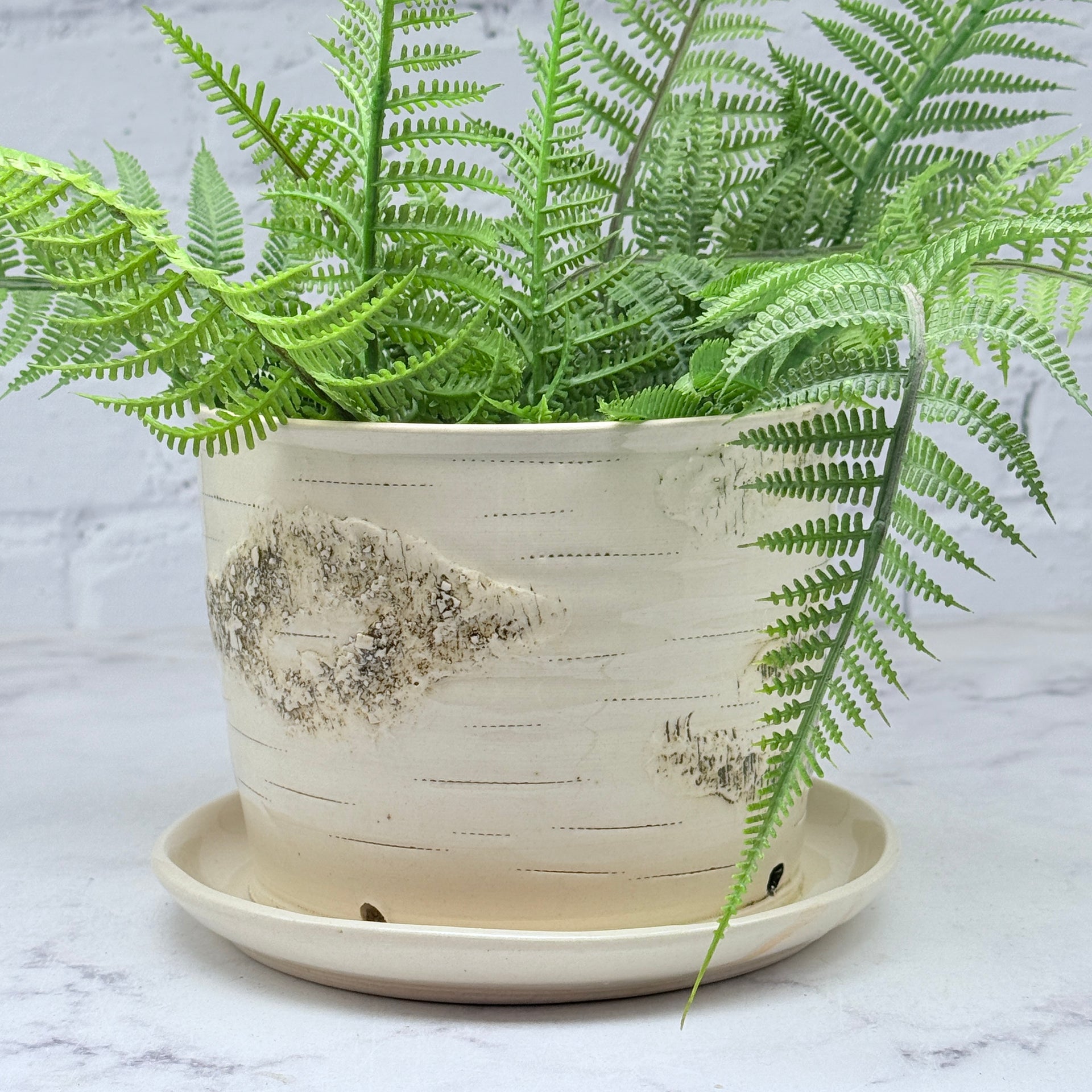 birch planter pot Birch Planter – Pottery by Paula