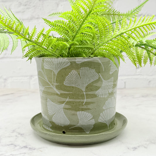 Green with White Gingko Planter