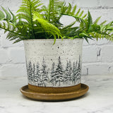 Snowy Pines Planter