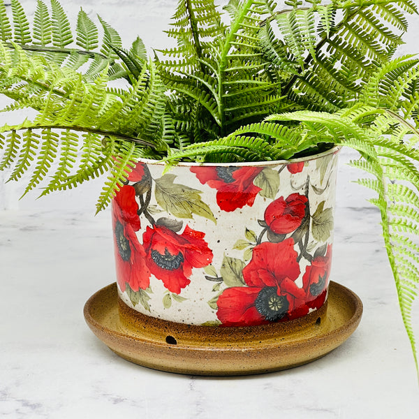 Red Poppies Planter