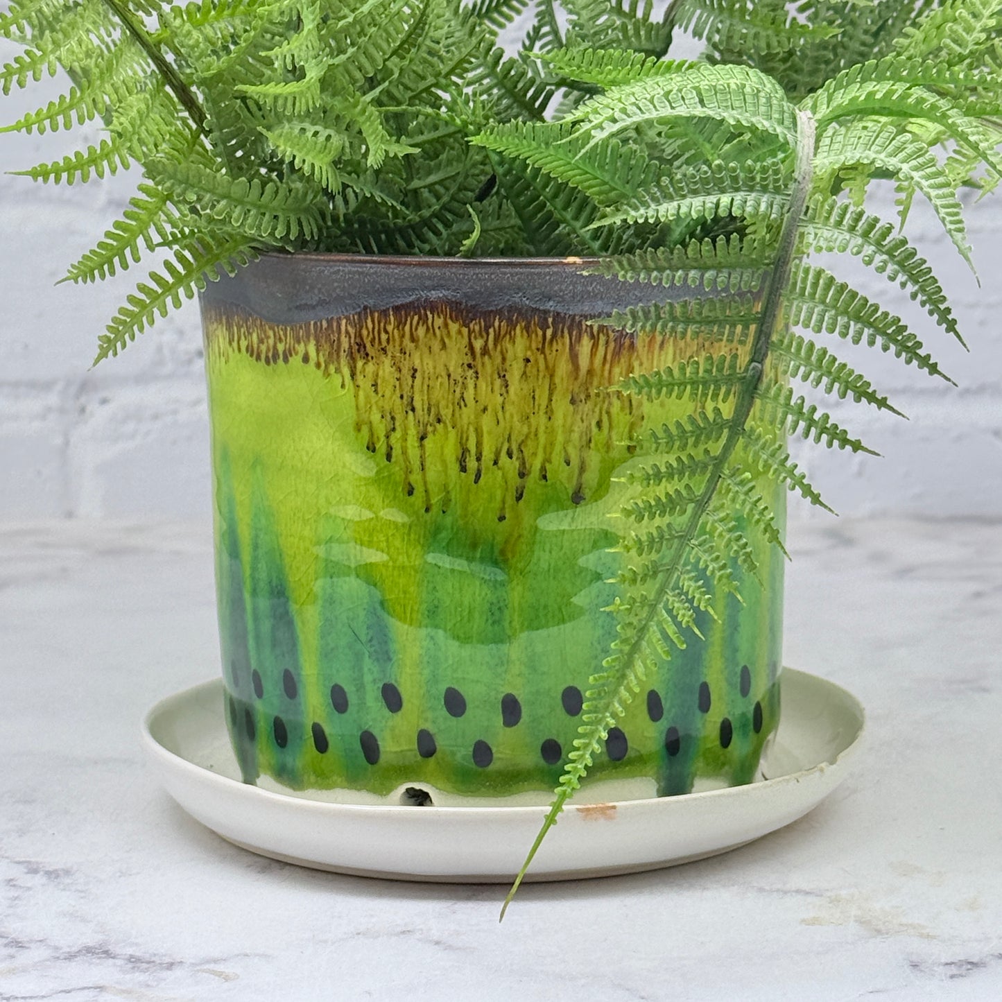 Kiwi Planter 2