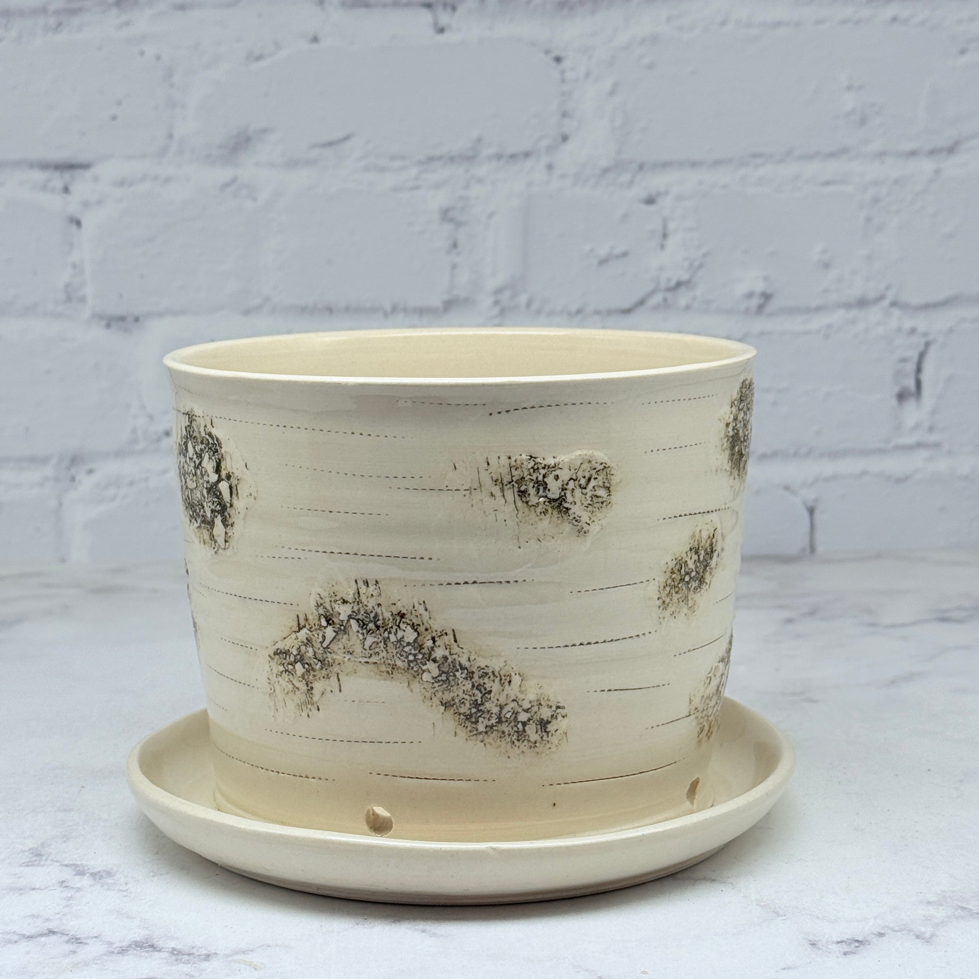 birch planter pot Birch Planter – Pottery by Paula